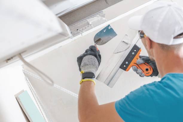 Best Drywall Removal and Disposal  in Brocton, NY